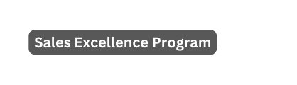 Sales Excellence Program