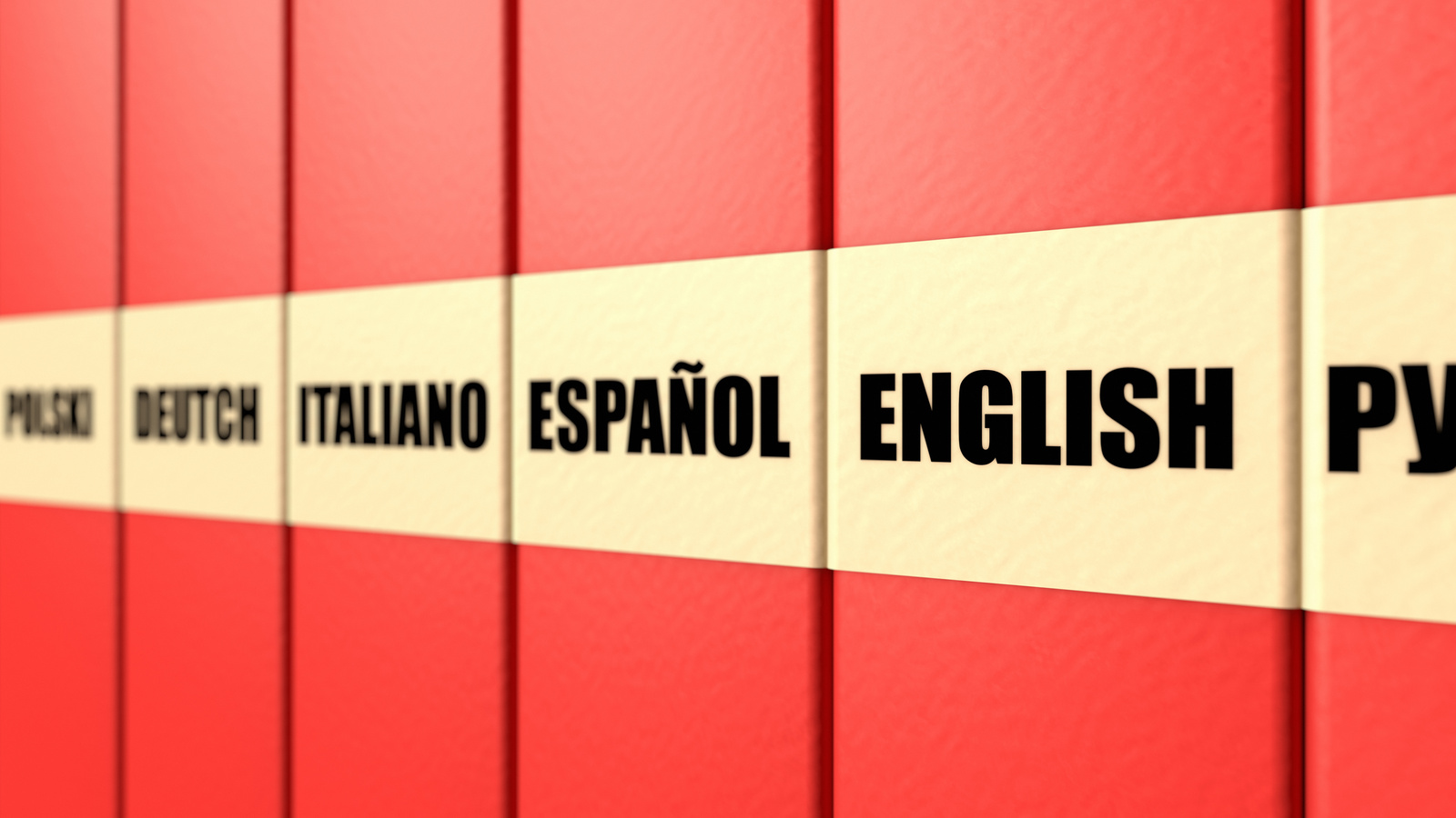 Language School